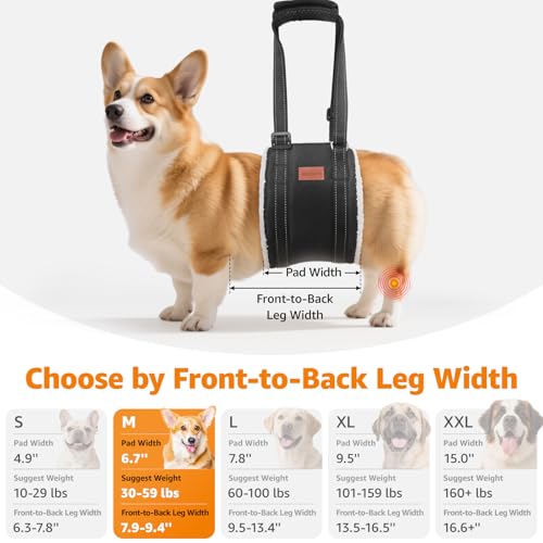Dog Sling for Large Dogs Hind Leg Support to Help Lift Rear Legs (Grey&Black / Medium)
