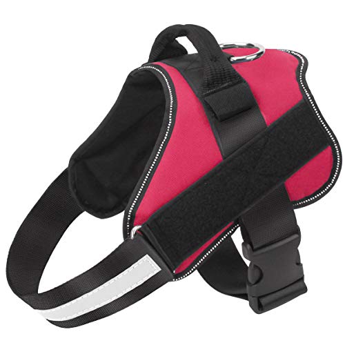 Dog Harness No (X-Small (Pack of 1) / Red)