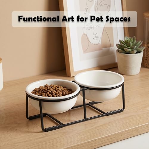 Ceramic Elevated Dog Bowl Set (Matte White / S × 2)