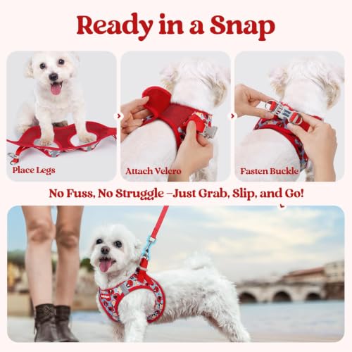 Dog Harness Medium Sized and Leash Set (Apple Pups / M (chest: 16 - 18.5"))