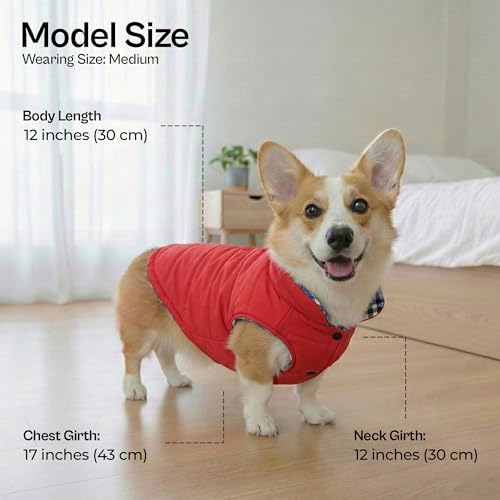 Dog Reversible Jacket (Medium / Plaid Reversible Jacket)