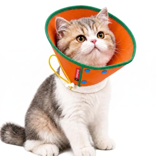 Soft Dog Cone Collar for Dogs & Cats (Orange / XS)