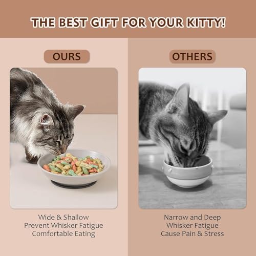 Ceramic Cat Food Bowl Set (Solid - Separate Pads)