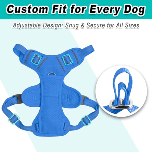 Dog Harness for Small Sized Dog No Pull Mesh 2 Clips Dog Vest (X-Small / Blue-Mesh)