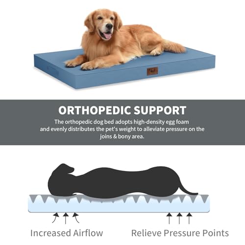Outdoor Waterproof Orthopedic Dog Bed for Medium Size Dogs (Blue / 35.0"L x 22.0"W x 3.0"Th)