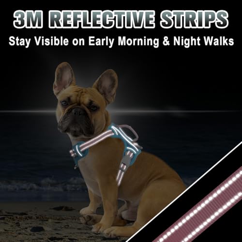 Dog Harness for Small Sized Dog No Pull Dog Vest ID Tag Pocket (Baby Blue & Baby Pink / Small)