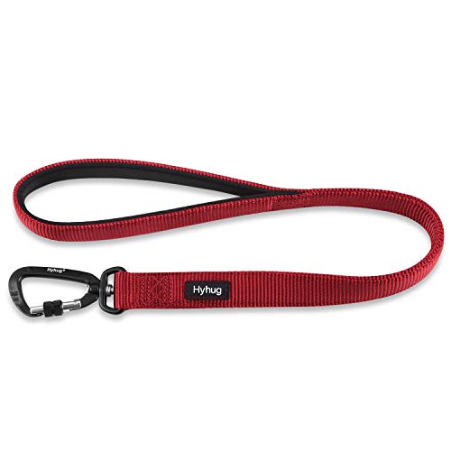 Short Dog Leash 24" (Red / 24 Inches)