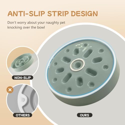 Elevated Slow Feeder Dog Bowls (Light Green)