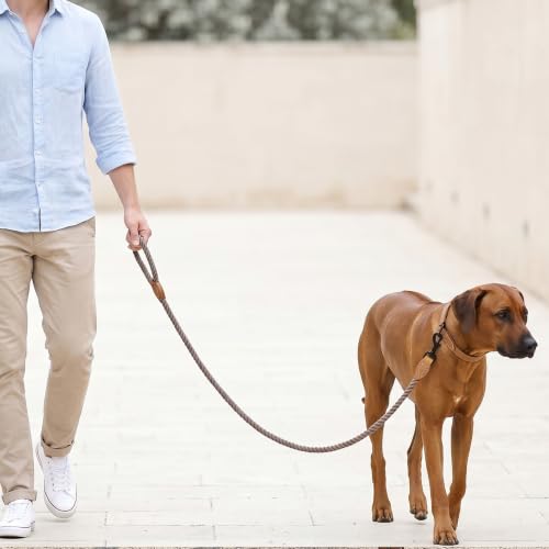 Dog Leash Braided Cotton Rope with Leather (Camel / 48 Inch-1/2")