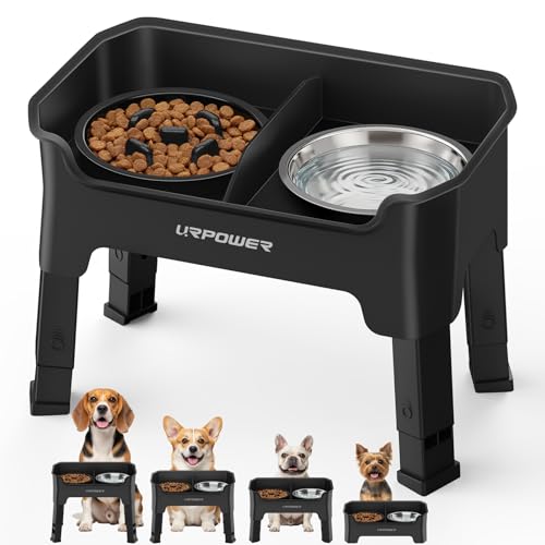 Mess Proof Elevated Dog Bowls for Small Dogs with Slow Feeder (Matte Black / Small)