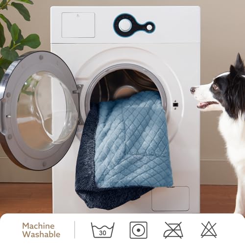 XL Orthopedic Dog Bed for Large Dogs (XL Plus(45"L x 32"W x 9.5"Th) / Blue)