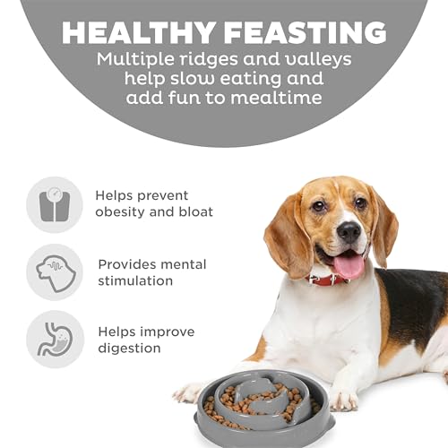 Fun Feeder Slo Bowl Dog Slow Feeder (Gray / Medium)