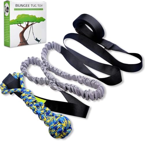 Outdoor Bungee Tug Toy (Blue)
