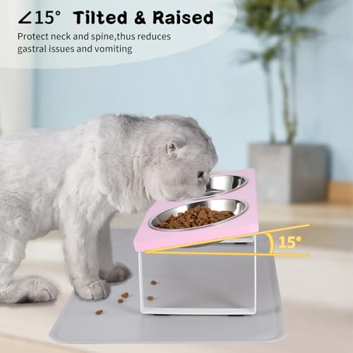 Upgraded Elevated Cat Bowls with Food Mat