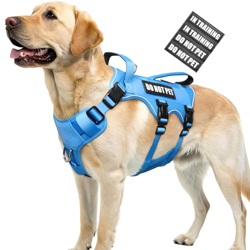 Escape Proof Dog Harness with Double Handle+4 Removable Patches (Large / Blue)