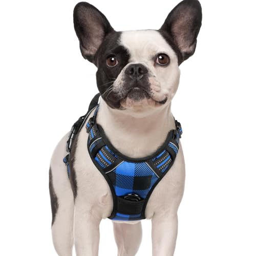 Dog Harness No Pull for Small Dogs with 2 Leash Clips (Small / Blue Plaid)