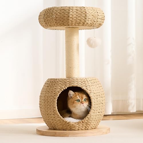 Modern Cat Tree for Indoor Small & Medium Cats (Natural-30")