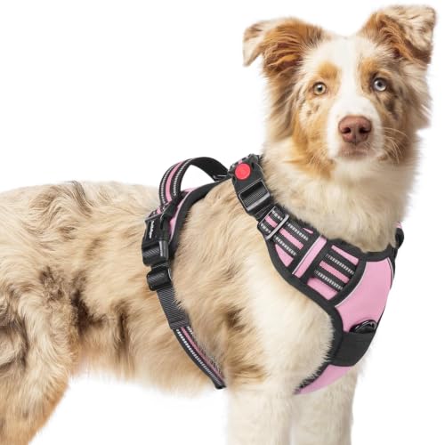Dog Harness Medium Sized (Medium / Pink)