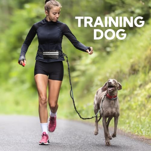 Hands Free Dog Leash with Pouch (Black/Olive Green)