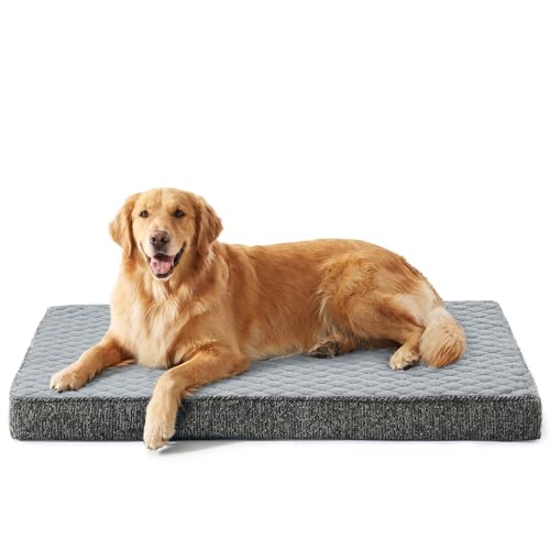 XL Dog Beds Large Sized Dog (XL(41"x27") / Light Grey)
