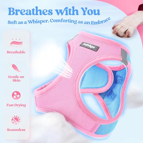 Dog Harness Small Sized and Leash Set (Blue & Light Pink / Xs (chest: 13.3 - 15.5"))