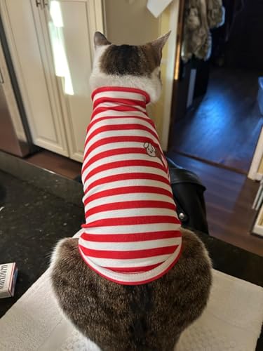 Turtleneck Dog Shirt Cute Doggie Embroidery Super Soft Dog Sweatshirt Stretchy Striped Puppy Pullover for Cats Small Medium Large Dogs (Red Striped / Medium)
