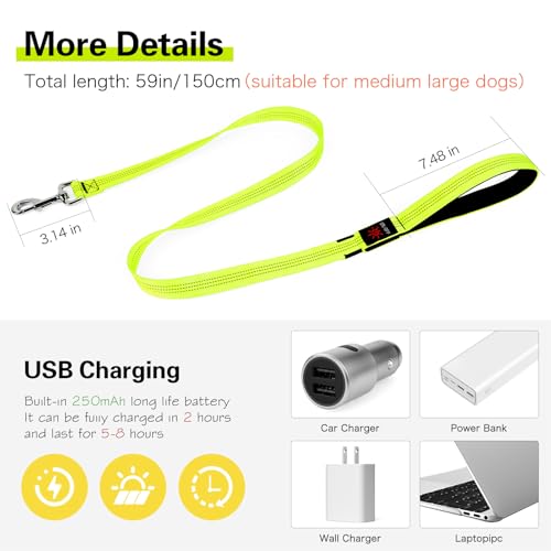 Light Up Dog Leash (Green)