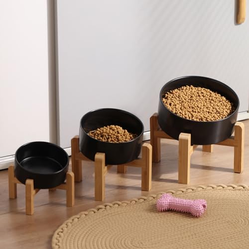 Black Elevated (Black / 7.6 CUPS - Medium Large Dog Bowls)