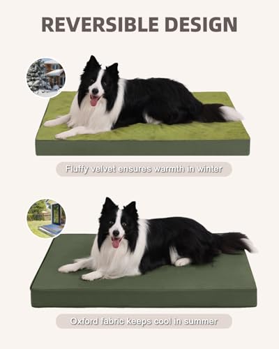 Orthopedic Dog Bed for Extra Large Dogs with Waterproof (Green / 47.0"L x 29.0"W x 4.0"Th)