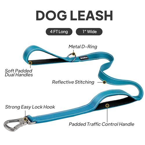 4FT Heavy Duty Dog Leash with Soft Padded Double Handle (4 FT x 1 in Wide / Blue)