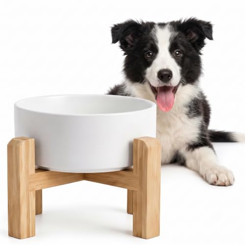 Elevated Ceramic Dog Bowl with Bamboo Stand (White / 3.6Cup)