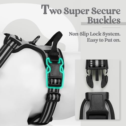 Dog Harness No Pull for Small Dogs with 2 Leash Clips (Small / Gray)