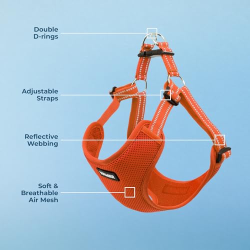 Voyager Step in Flex Adjustable Dog Harness (Harness (Orange) / XL)