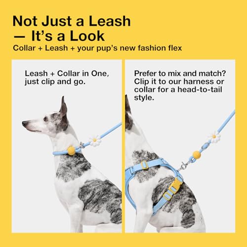 Hands Free Dog Leash (Daisy Blue)