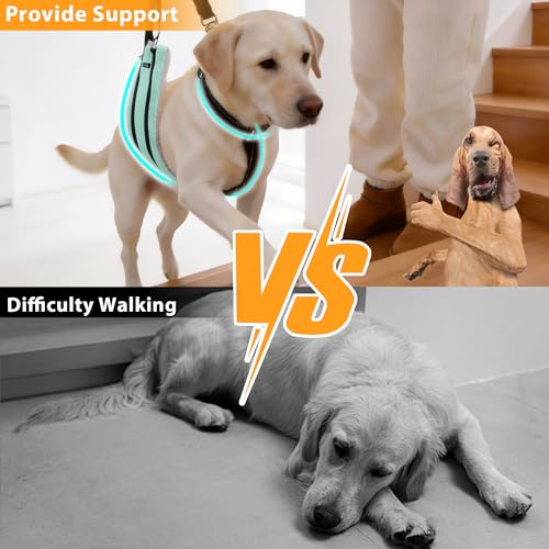 Dog Lift Harness for Seniorm or After Surgery (Turquoise / XL)