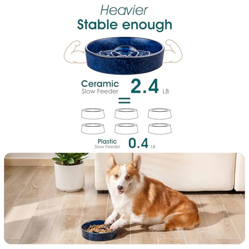 Slow Feeder Dog Bowl (M - 1.5 Cups / Blue)