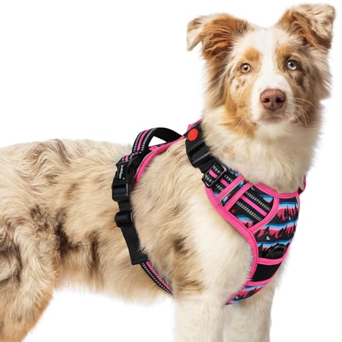 Dog Harness Medium Sized (Medium / Mountain Rose)