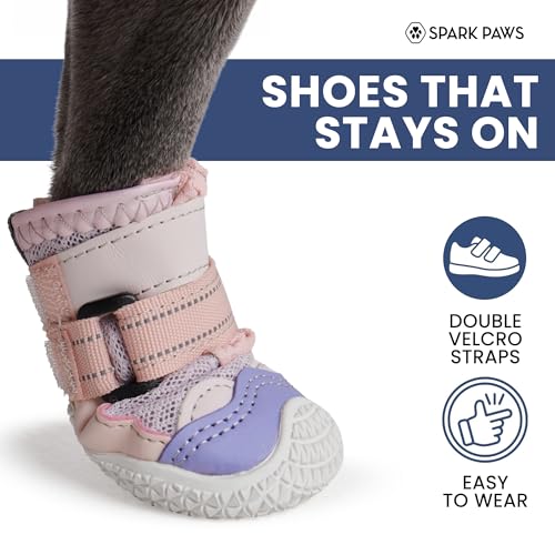 365 Dog Shoes (Pink Purple / Size 7: 2.8"x3.15"(W*L) (Pack of 4))