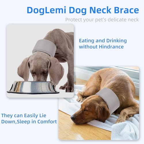 Dog Neck Brace for Pet After Surgery Recovery Adjustable Breathable Neck Cervical Cone (Gray / XL)