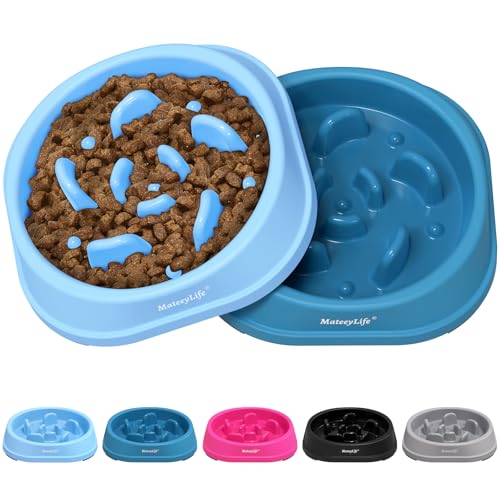 2 Pack Slow Feeder Dog Bowls (A-LightBlue&DarkBlue / Small)