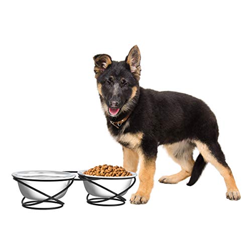 Set of 2 Stainless Steel Dog Bowls (3.5" Height)