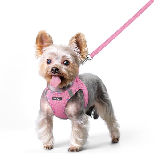 Dog Harness Small Sized and Leash Set (Pink & Plaid Trim / Xs (chest: 13.3 - 15.5"))