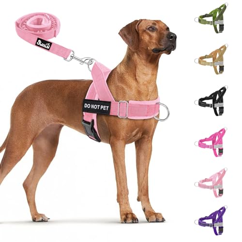 No Pull Dog Harness and Leash Set (Pink / X-Large)