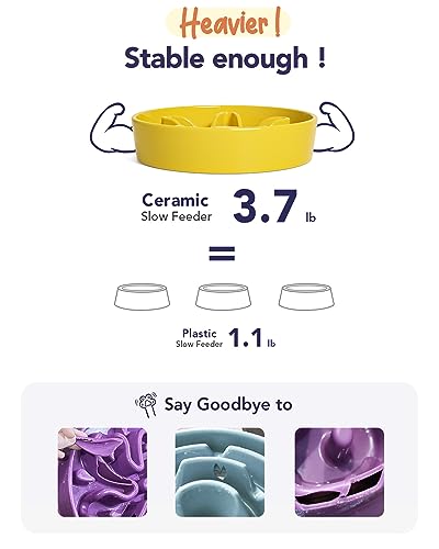 Slow Feeder Dog Bowls Ceramic (Star Yellow / L-3 Cups)