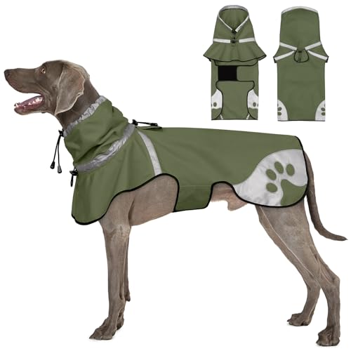 Dog Raincoat for Large Dogs (Green / X-Large)