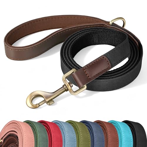 PU Leather Dog Leash for Small Dogs (Black / 5/8"x 5FT)
