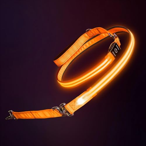 LED Dog Leash (Orange / 6 feet)