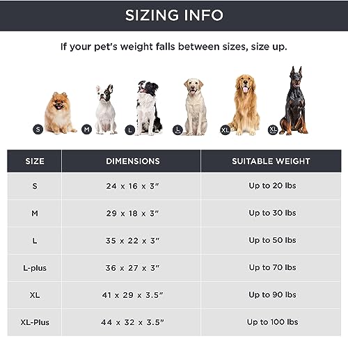 Memory Foam XL Dog Bed (41"L x 29"W x 3.5"Th / Khaki)