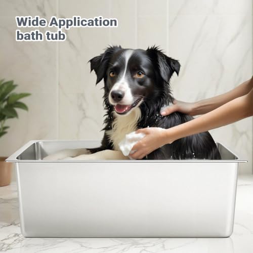 Large Stainless Steel Cat Litter Box High Sided (19.5" L x 13.6" W x 5.96" H)