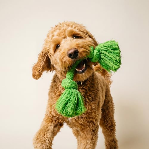 Tug Rope Dog Toys for Medium Dogs (Medium / Sweet Potato)